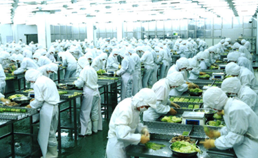 求索企業(yè)可持續(xù) 走進(jìn)龍大，探訪生態(tài)農(nóng)業(yè)產(chǎn)業(yè)鏈中的農(nóng)產(chǎn)品生產(chǎn)